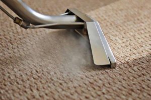 carpet cleaning